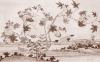 Papier peint ancien animal, paysage aux canards Couleur : Sépia