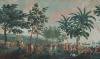 Papier peint panoramique décoratif Les sauvages de la mer du Pacifique - Partie 1 Couleur : Originale