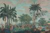 Papier peint panoramique Les sauvages de la mer du Pacifique - Partie 3 Couleur : Originale