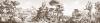 Papier peint panoramique antiquité Télémaque dans l'île de Calypso Couleur : Sépia